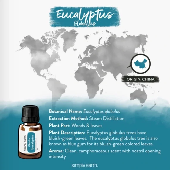 Simply Earth Eucalyptus Essential Oil - Picture 4 of 6